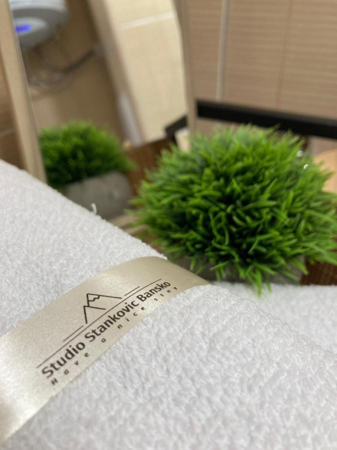 Studio Stankovic Royal Towers 326 Банско Экстерьер фото